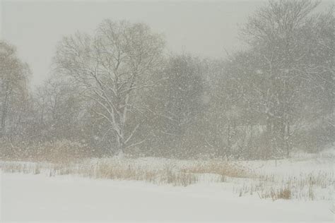 Winter Wonderland 3 Photograph By Dennis Pintoski Fine Art America