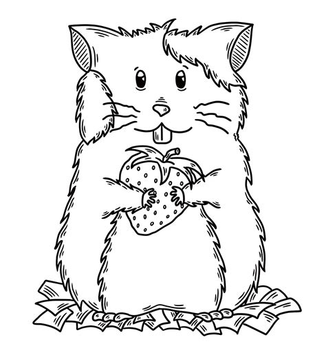 Introducir Imagen Dibujos De Hamster Viaterra Mx