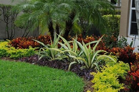 Tips For Landscaping And Gardening In South Florida