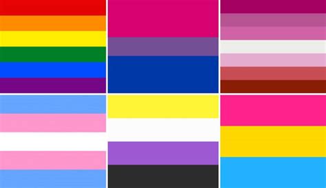 Marcha LGBT Cuántas banderas hay del Orgullo LGBT y qué significa cada una Sociedad W
