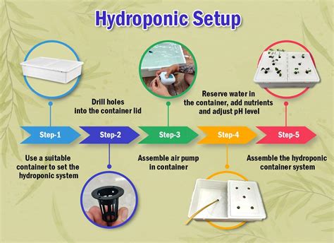 Hydroponic Farming System Setup With Methods And Facts