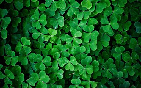St Patrick's Day Aesthetic Wallpapers - Wallpaper Cave