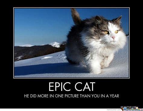 48 Epic Cat Wallpaper