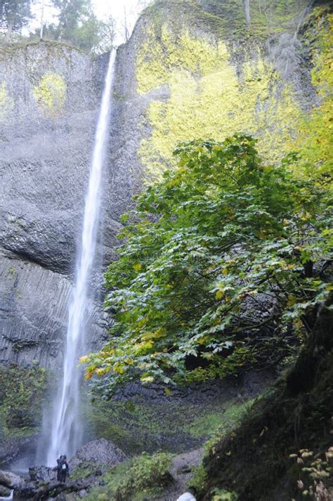 Latourell Falls Oregon Side Of Columbia River Gorge Stock Image