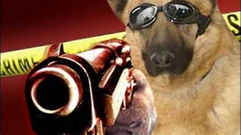 Sì, un calendario di cuccioli e pistole. Dog Shoots Man? That's News! - CBS News