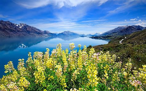 Landscape Lake Mountains Background Meadow Yellow Flowers