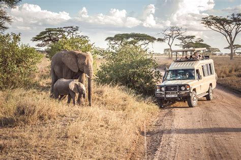 Safari In The Serengeti National Park Our World Travel