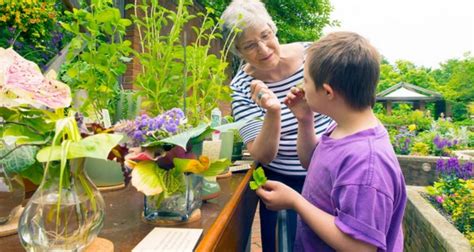 National Horticultural Therapy Week Celebrates Therapeutic Power Of Plants