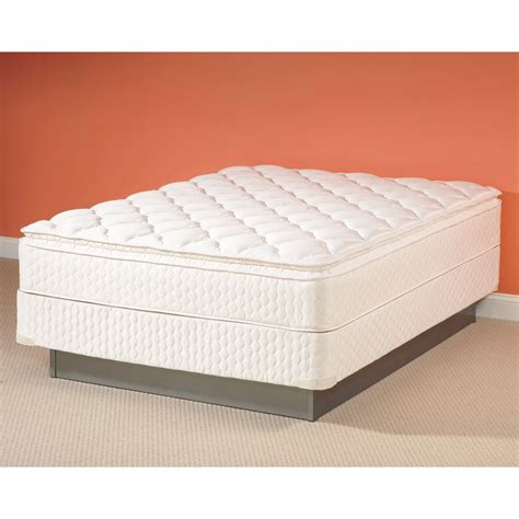 Sealy Low Queen Box Spring Sears