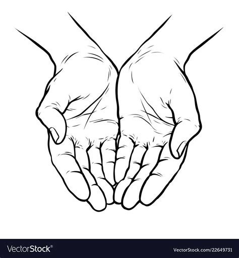 Hands Cupped Together Sketch Vector Image On Vectorstock Artofit