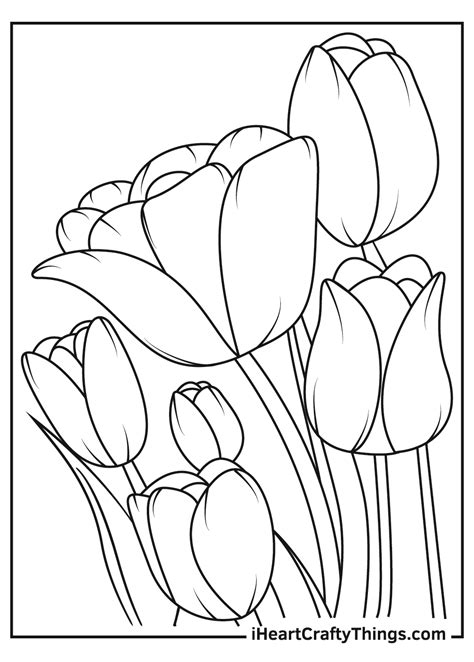 Tulip Coloring Pages Updated 2021