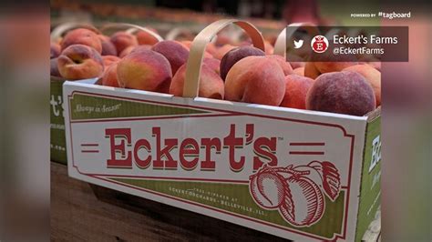 Eckert’s Farm Seasonal Market In St Louis County