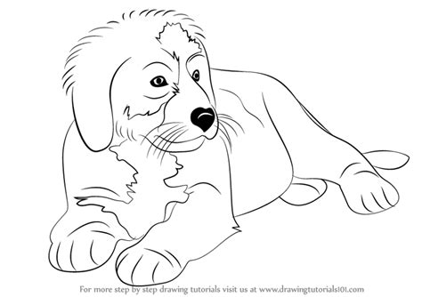 Top 19 How To Draw Bernese Mountain Dog Lastest Updates 112022