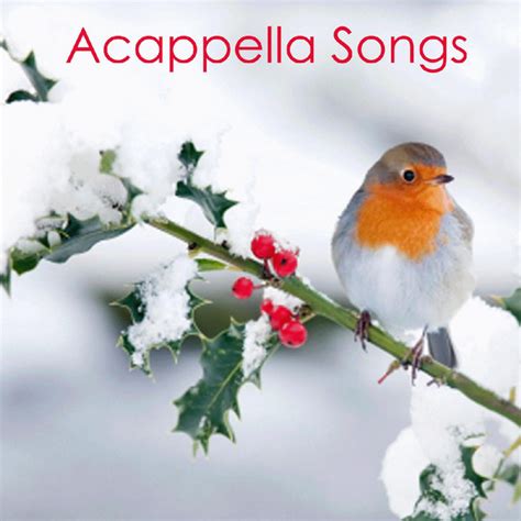Male & female voices at various bpms. Acapella Groups - Acapella Songs Christmas by Acapella on Spotify