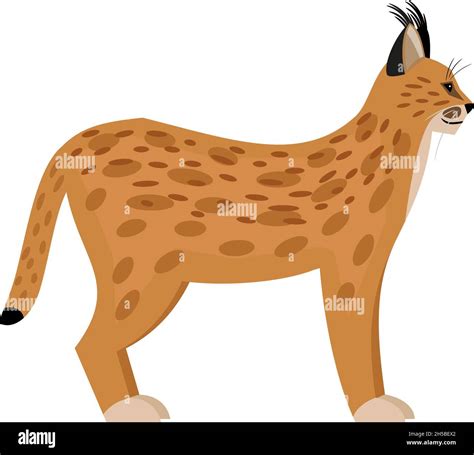 Wild Lynx Cartoon Cute Cat Of Wildlife Fast Beast Of Nature Exotic