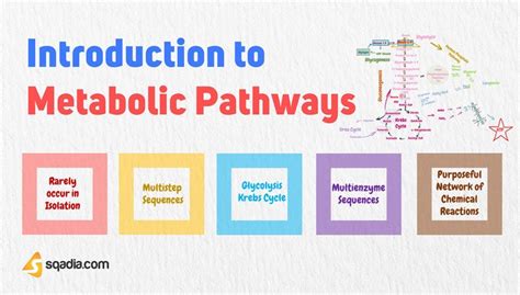 Introduction To Metabolic Pathways Biochemistry