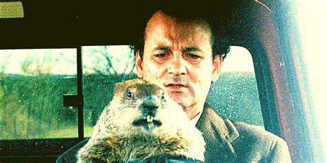 How Many Times Bill Murrays Phil Relives Groundhog Day In The Movie