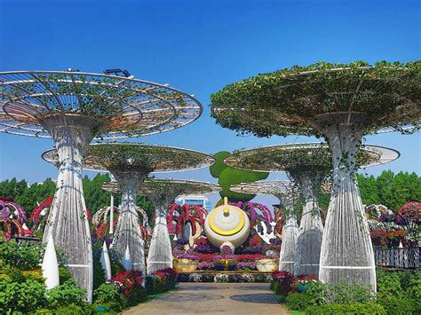 In Pictures Dubai Miracle Garden Welcomes Back Visitors With 150m