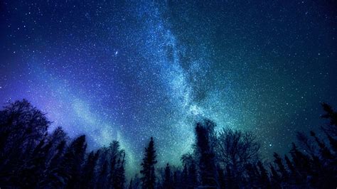 Download Wallpaper The Milky Way Space Forest Trees