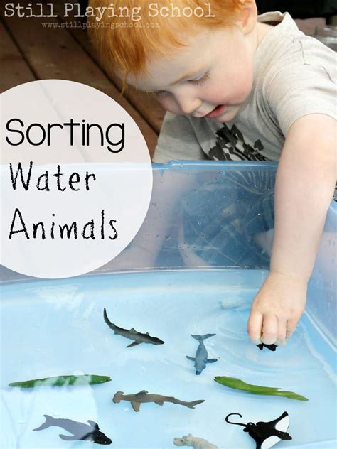 Water Play Sorting Land And Water Animals Still Playing