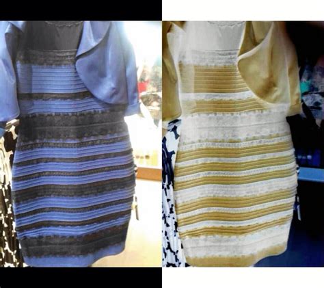 What Color Is This Goddamn Dress Mystery Solved