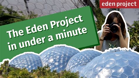 Exploring The Wonders Of The Eden Project A Nature Lovers Guide To