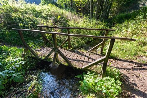 Wooden Bridge In The Forest Across The Small River Stock Photo Image
