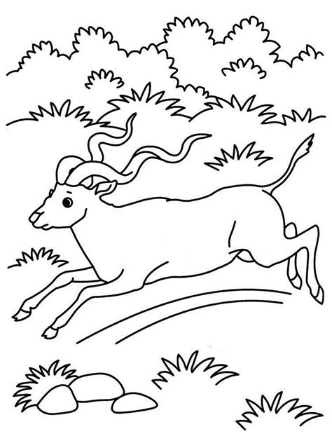 Grassland Coloring Pages Coloring Home