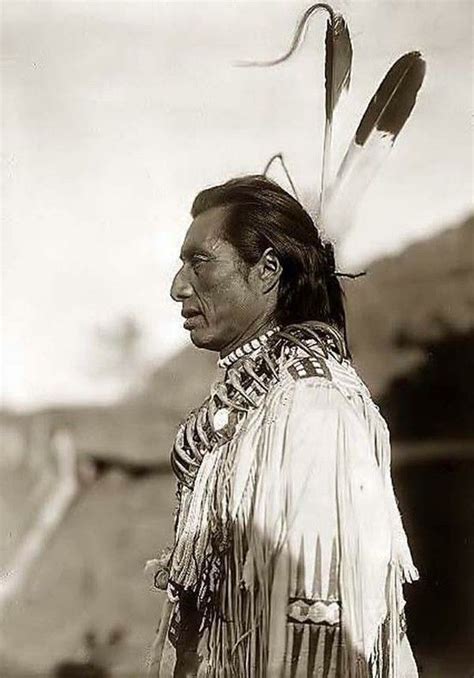 sacred feathers feathers in hair for native americans had a spiritual meaning they were w