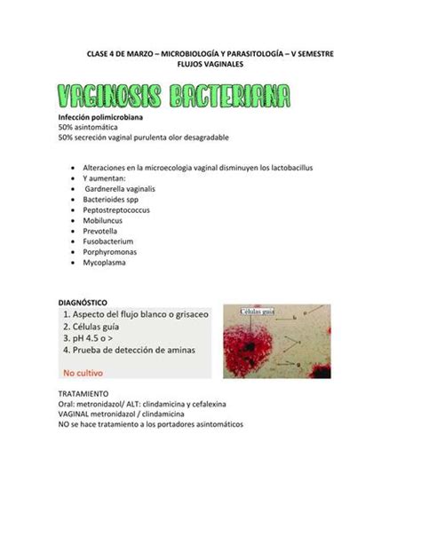 Vaginosis Bacteriana Luana Kschessinka Matulevich Cuenca UDocz