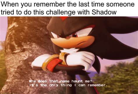 Making A Meme Out Of One Line From Shadow The Hedgehog To Fill In The