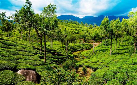 Kerala Nature Wallpapers Top Free Kerala Nature Backgrounds