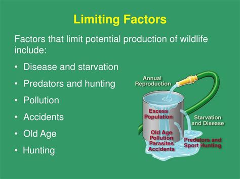 What Are Limiting Factors Hunters Ed