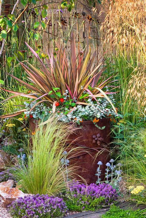 Container Garden With Phormium Plant And Flower Stock Photography