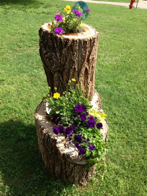 What To Do With The Tree Stump So Many Beautiful Ideas This Was Mine