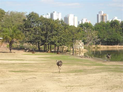 Nederst på siden finder du disqus rejseforum hvor du kan du læse og skrive kommentarer om rejser og oplevelser, måske du har en god rejseoplevelse og denne er du velkommen til at dele. Brasilien: Cuiabá