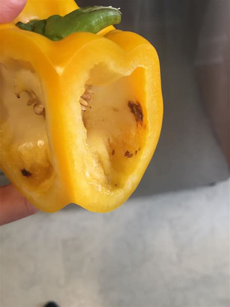 Food Safety Yellow Pepper Brown Spots Watery Seasoned Advice