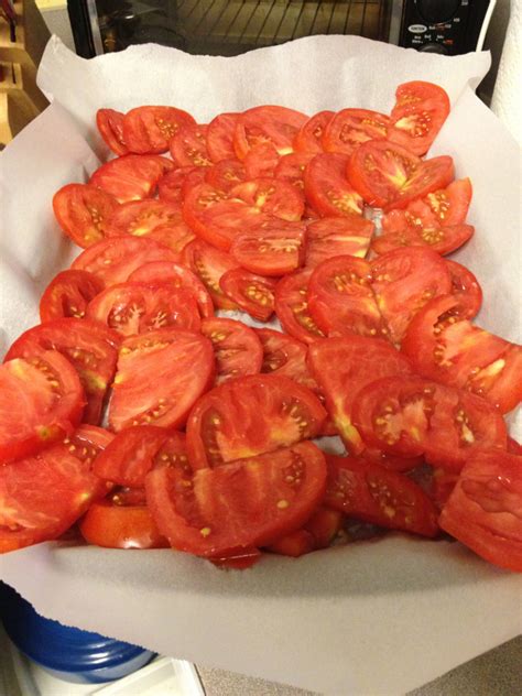 Mom To The Screaming Masses What To Do With All Of Those Tomatoes