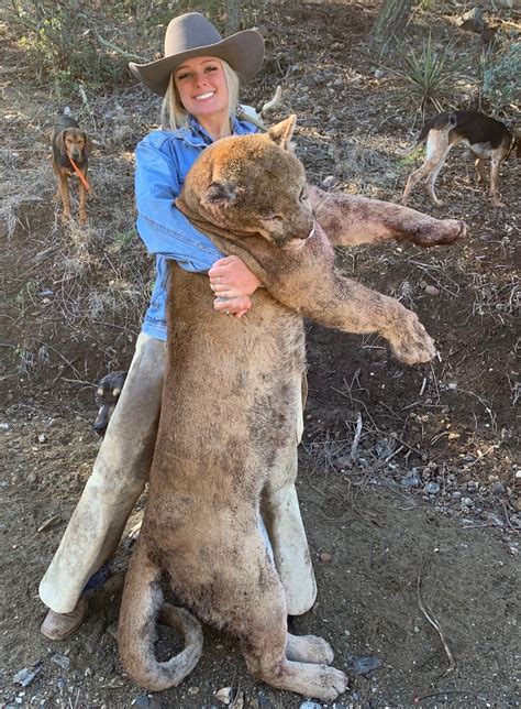 Guided Arizona Mountain Lion Hunts Cougar Hunting With Dogs