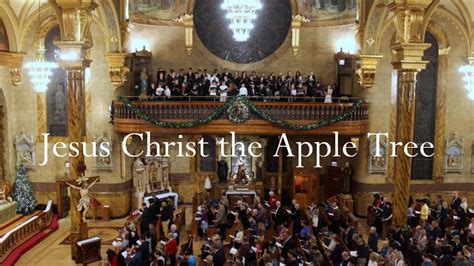 Jesus Christ The Apple Tree Youtube