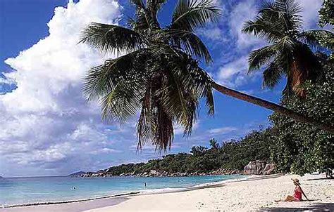 From entrepreneur magazine's #1 stem/steam enrichment program. Top 10 Beautiful Beaches To Visit in Winter - One News Box