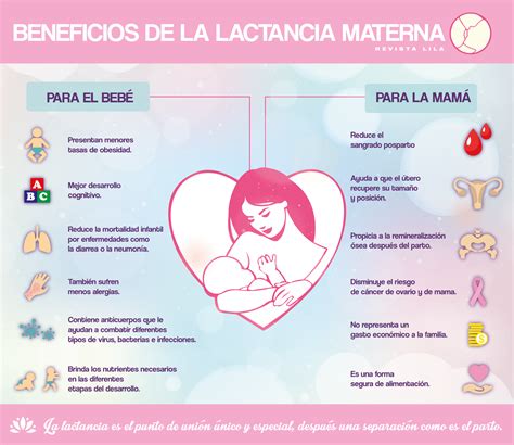Lactancia Materna Beneficios De La Lactancia Materna