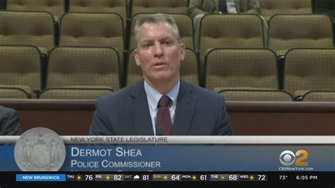 Assembly Lawmakers Grill Nypd Commissioner Dermot Shea About Gun Violence Youtube
