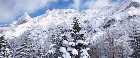 Download Wallpaper 2560x1080 Mountains Snow Trees Landscape Winter