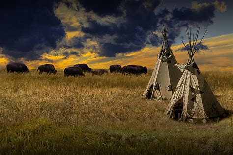 Buffalo Herd Alongside Teepees On The Prairie Photograph By Randall Nyhof