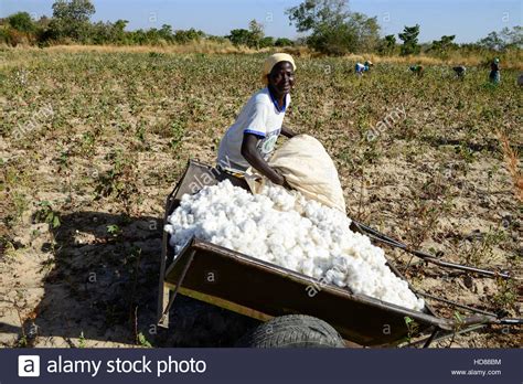 African Woman Farming Hi Res Stock Photography And Images Alamy
