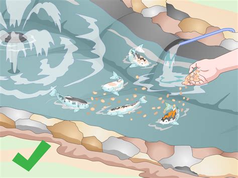 Walmart.com has been visited by 1m+ users in the past month How to Build a Koi Fish Pond (with Pictures) - wikiHow