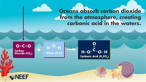 Understanding The Science Of Ocean And Coastal