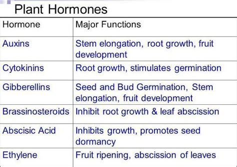 Make A List Of Plant And Animal Hormones Along With Their Locations And
