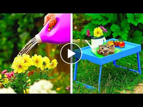 useful gardening hacks you need to try amazing ideas to decorate yo